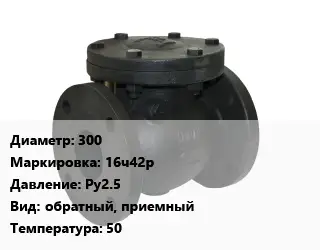 Клапан чугунный 300 16ч42р Ру2.5 обратный, приемный 50